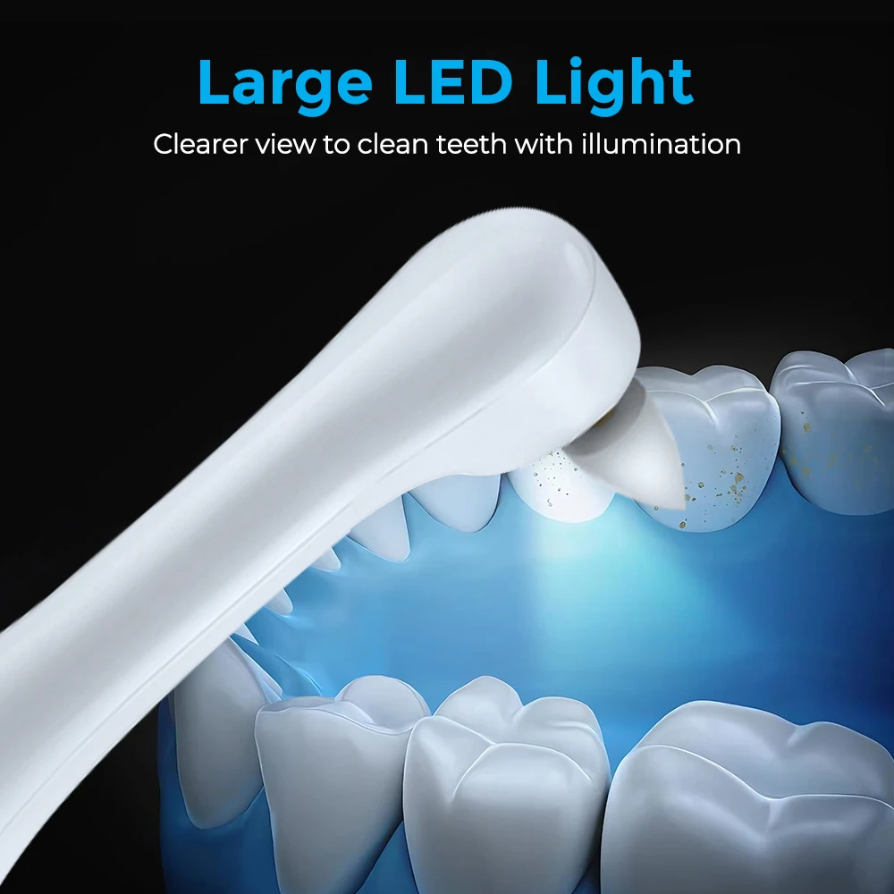 전동 치아 광택기 치아 미백 클리너 6개 브러시 헤드  - Teeth Whitening Toothbrush 리뷰 및 가격