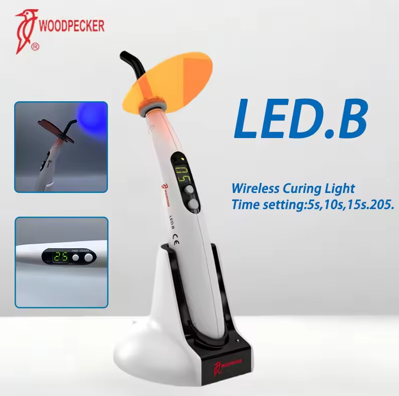 치과용 광중합기 우드페커 LED B LED 기계 구강  - Teeth Whitening Free 리뷰 및 가격