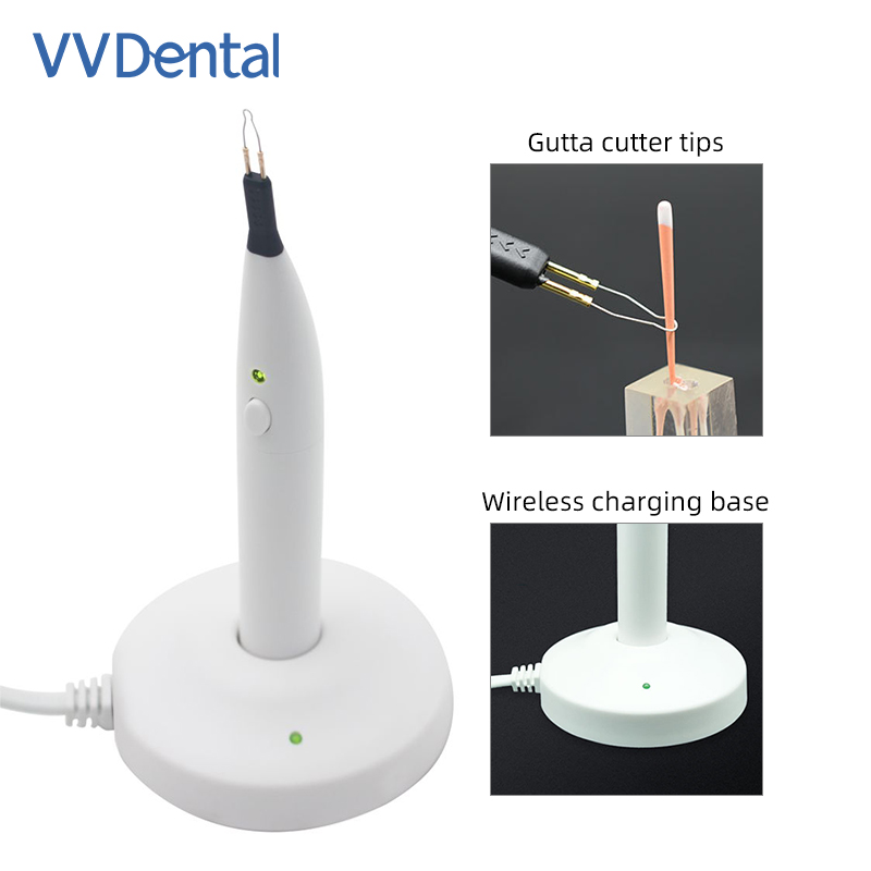 4가지 팁 치과용 구타페르차 치아 잇몸 절단기(근관치료 - Teeth Whitening Options 리뷰 및 가격