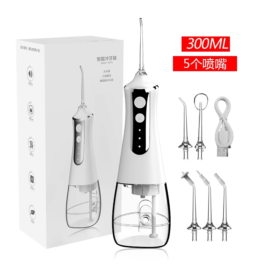 홈피쉬 구강세정기 휴대용 치아세정기 USB 충전식 물분 - Dental Floss Picks 리뷰 및 가격