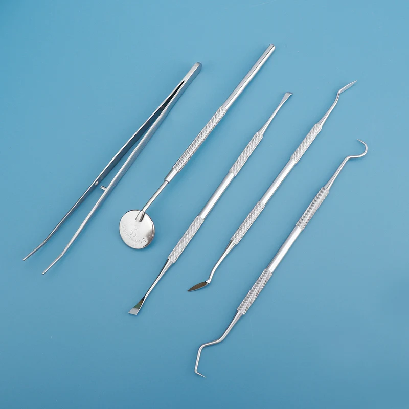 치과 도구 치간 치실 청소기 전문 구강 관리 치실 픽  - Dental Floss Picks 리뷰 및 가격